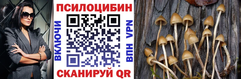 darknet состав Порхов Галлюциногенные грибы мицелий